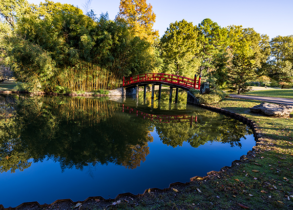 Tanabata: An Evening in the Japanese Garden (21+) - Memphis ...
